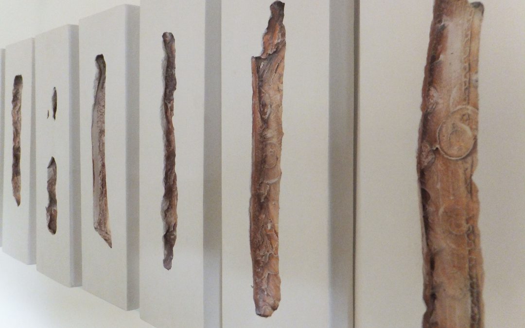 Fragmentos de la memoria